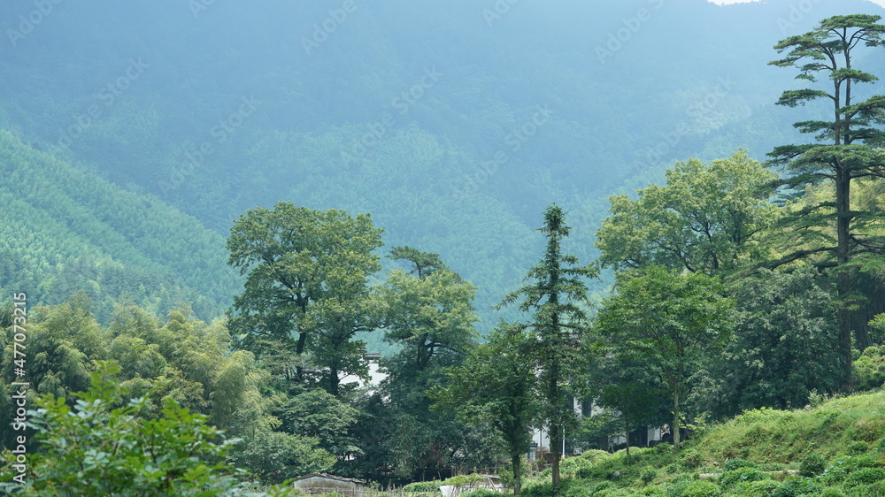 雨后山间瀑布潺潺的美丽乡村景观