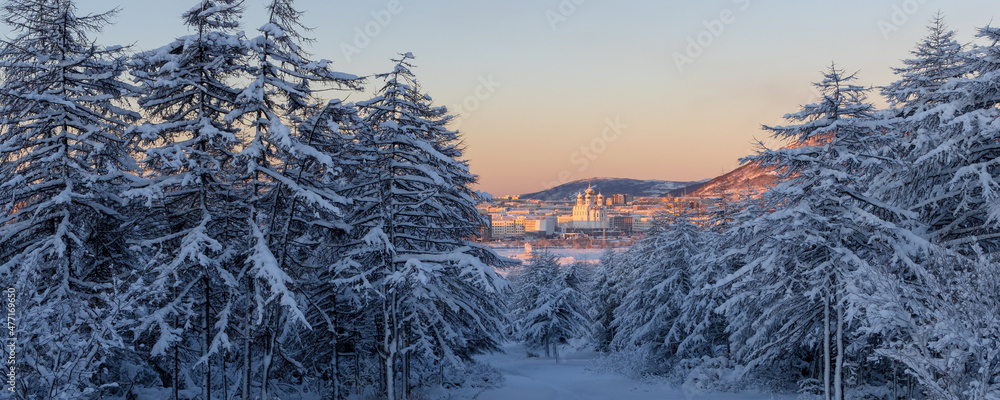 冬季森林和北部城市的美丽全景。早晨的风景被雪覆盖