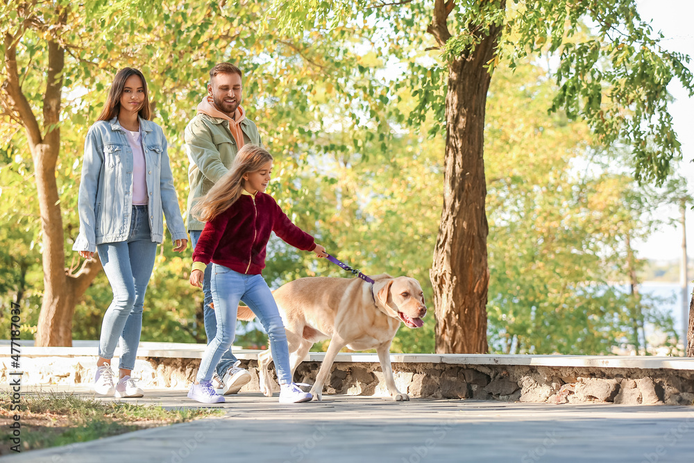 Happy family with Labrador dog walking in park