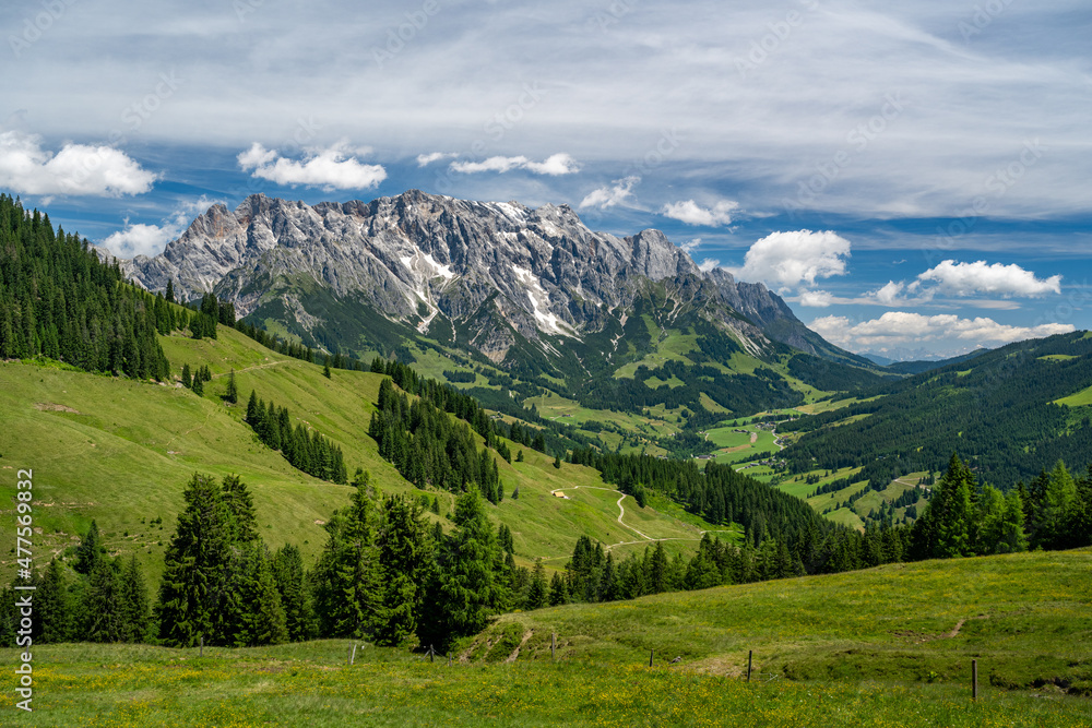 夏季高山景观，包括高山牧场、森林和山脉，Hochkoenig、Maria Alm、Dien