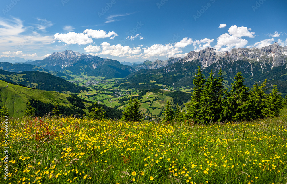 夏季高山景观，包括高山牧场、森林和山脉，Hochkoenig、Maria Alm、Dien