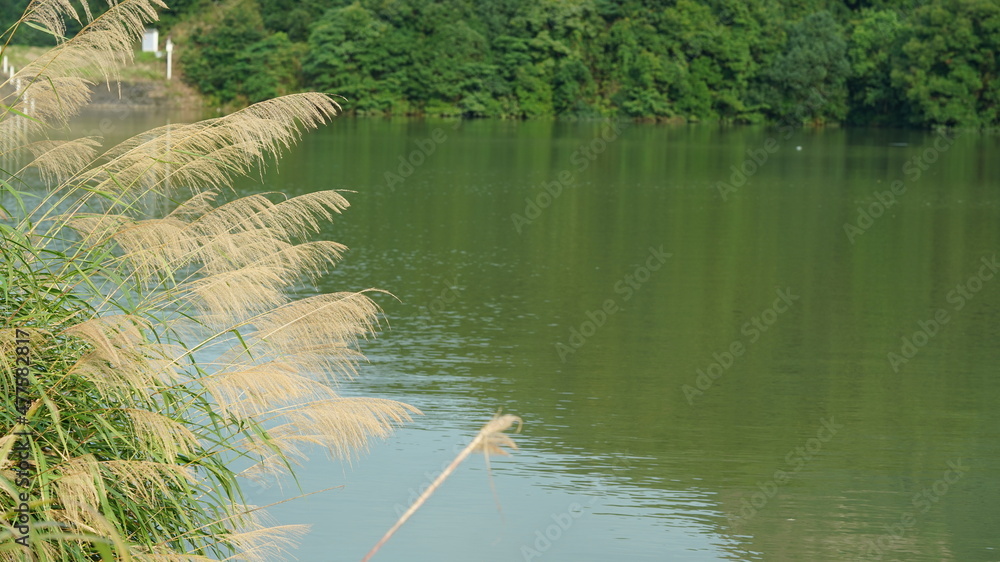 中国乡村青山环抱的美丽河流景观