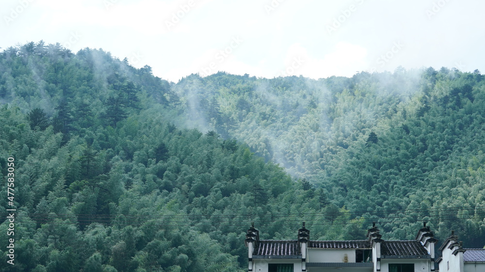 美国以绿色森林和小村庄为背景的美丽山区景观