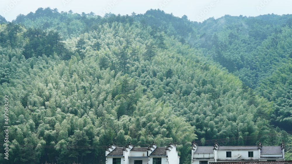 美国以绿色森林和小村庄为背景的美丽山区景观