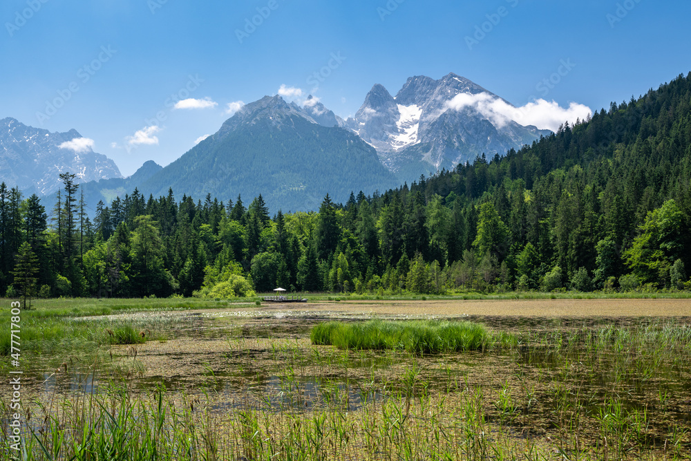 德国巴伐利亚州拉姆绍夏季田园诗般的陶本西和霍克卡特山脉的景色