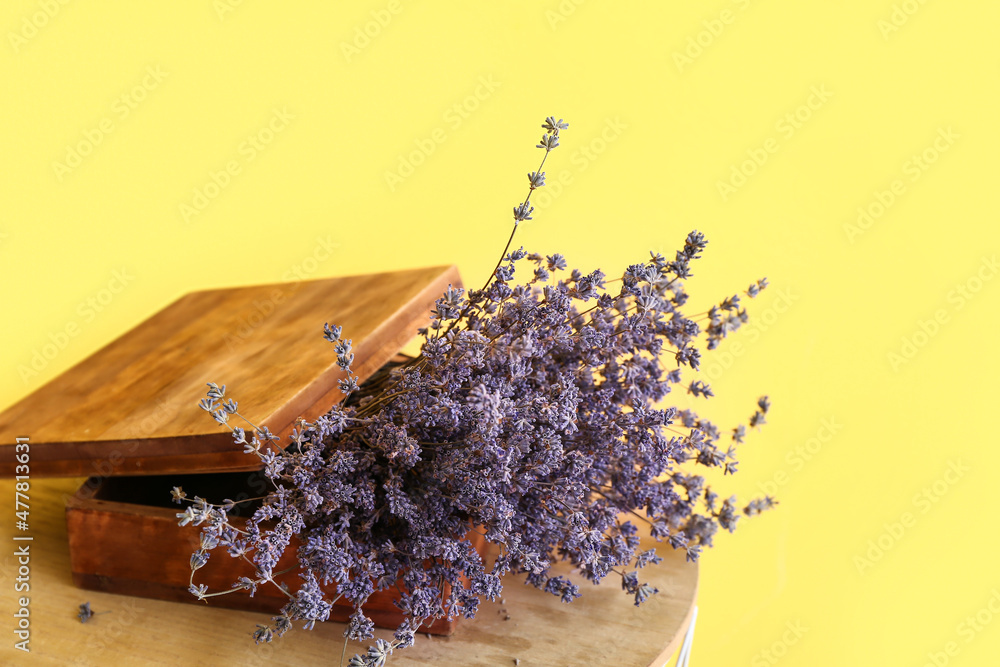 桌上美丽的薰衣草花在彩色背景下的花束