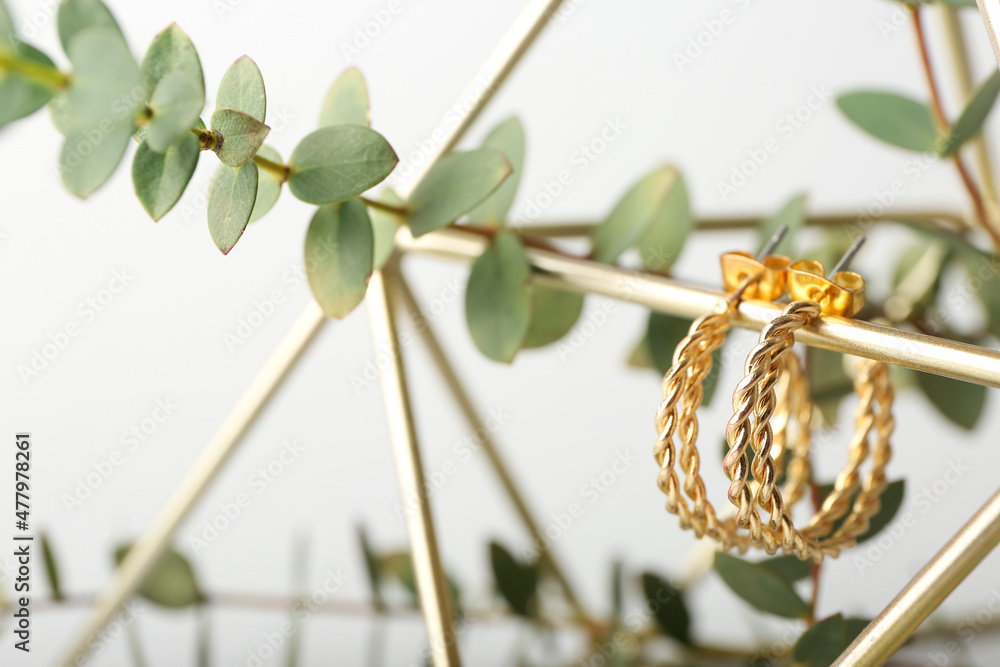 Decor, plant branches and golden earrings on light background, closeup