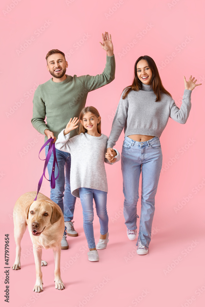 Happy parents with little daughter and Labrador dog on pink background