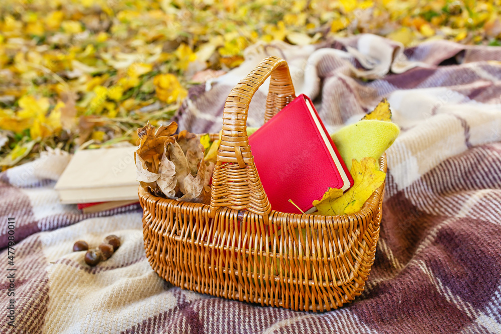 Wicker basket with books and autumn leaves on plaid