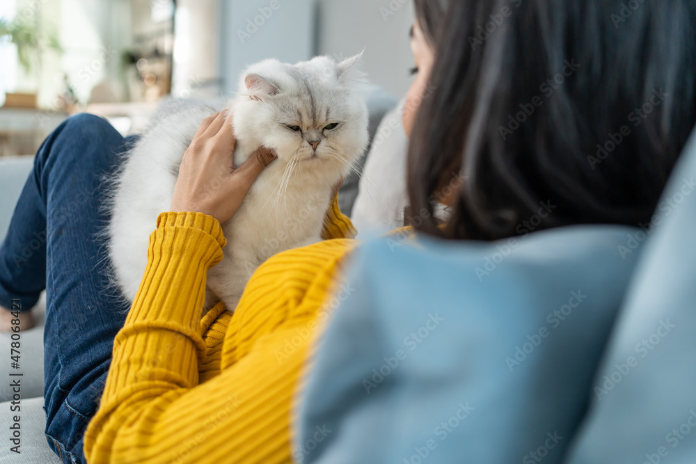 亚洲女人抱着小猫玩，在家里很开心。