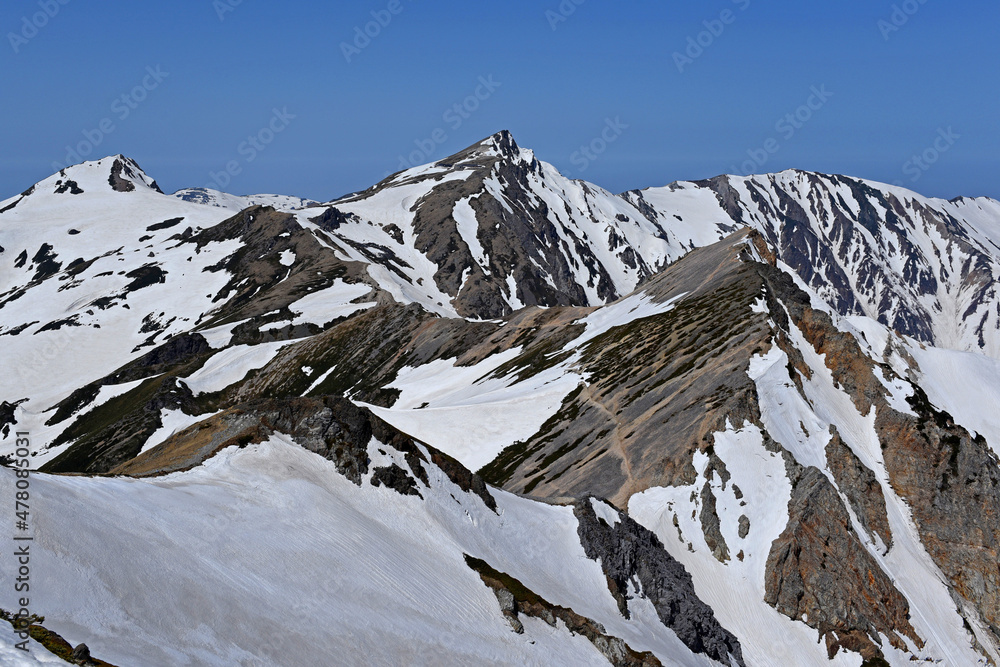 積雪期の白馬三山登山「鑓ヶ岳山頂から望む白馬岳・杓子岳」