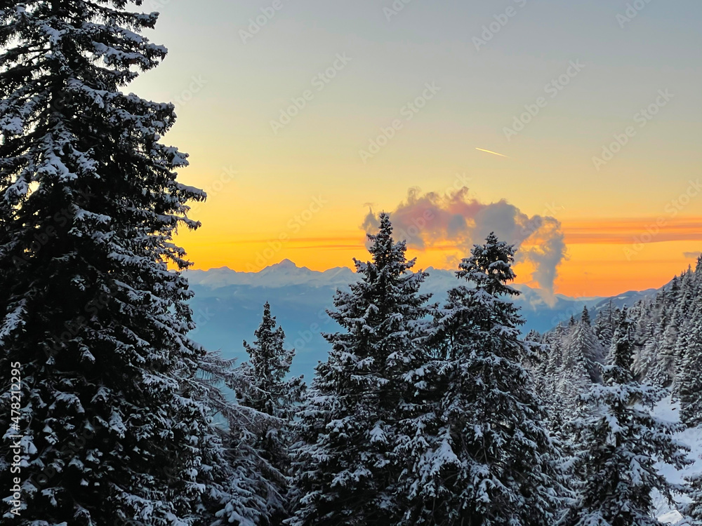 航空：燃烧的橙色冬季傍晚天空横跨阿尔卑斯山白雪皑皑的松树