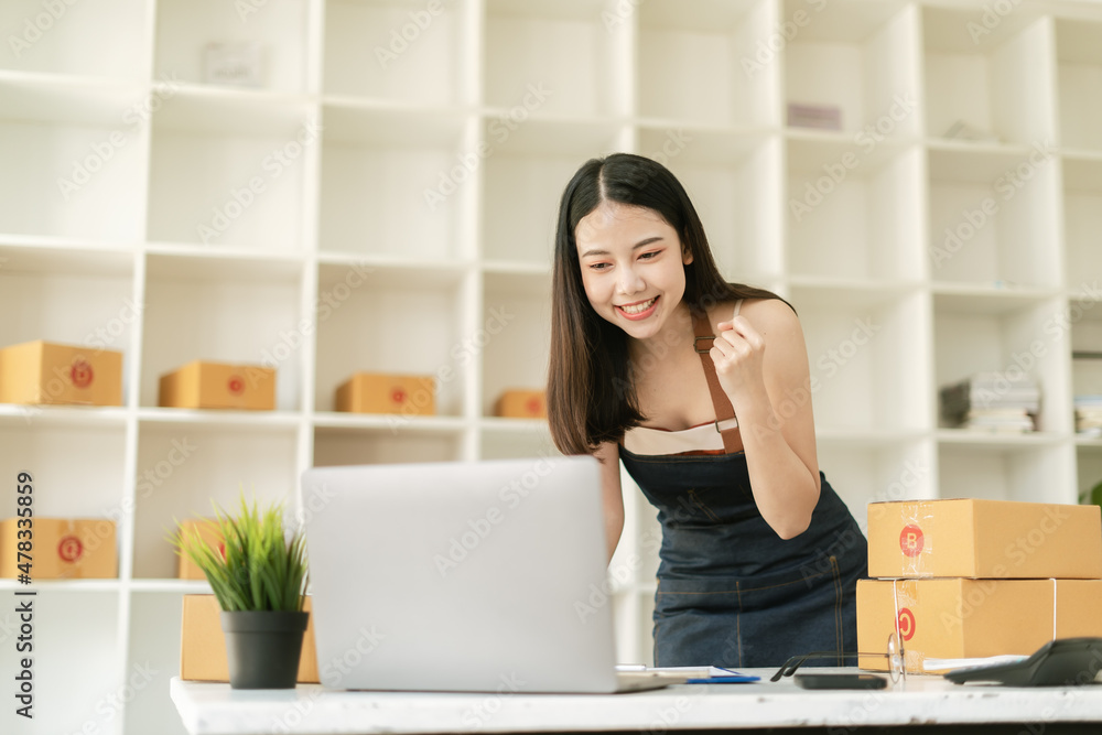 开始小企业创业者SME自由职业者，在家庭办公室工作的年轻女性肖像，BOX，