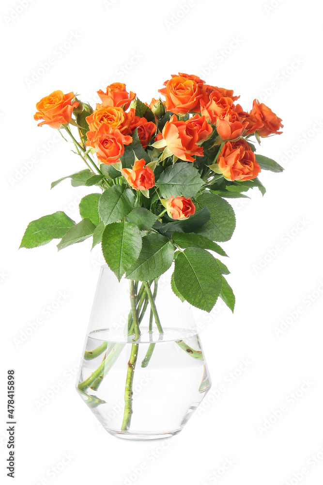 Vase with beautiful orange roses on white background