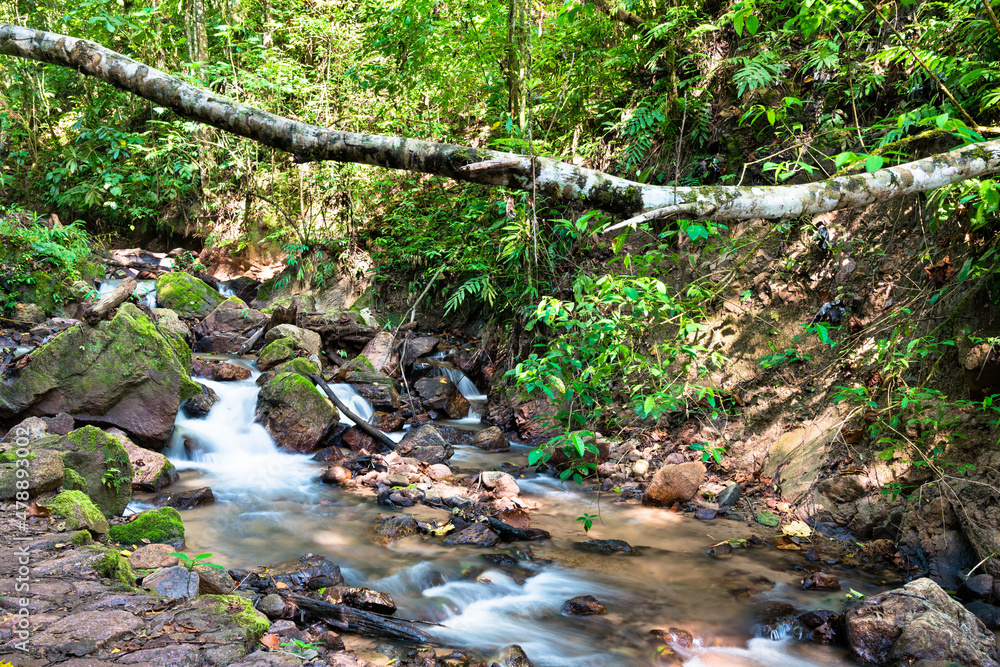 El Tirol waterfall in the high rainforest of Chanchamayo in Junin, Peru