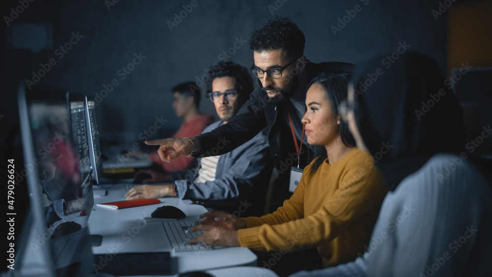 讲师帮助学者完成项目，为他们的工作提供建议。教师为多样化的多元群体授课