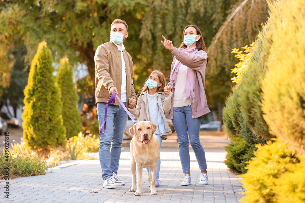 戴着医用口罩和拉布拉多犬在街上散步的幸福家庭