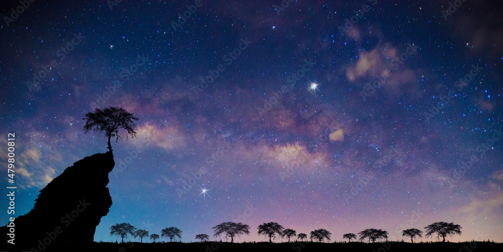 全景蓝色夜空，乳白色，黑暗背景下有星星。太棒了。