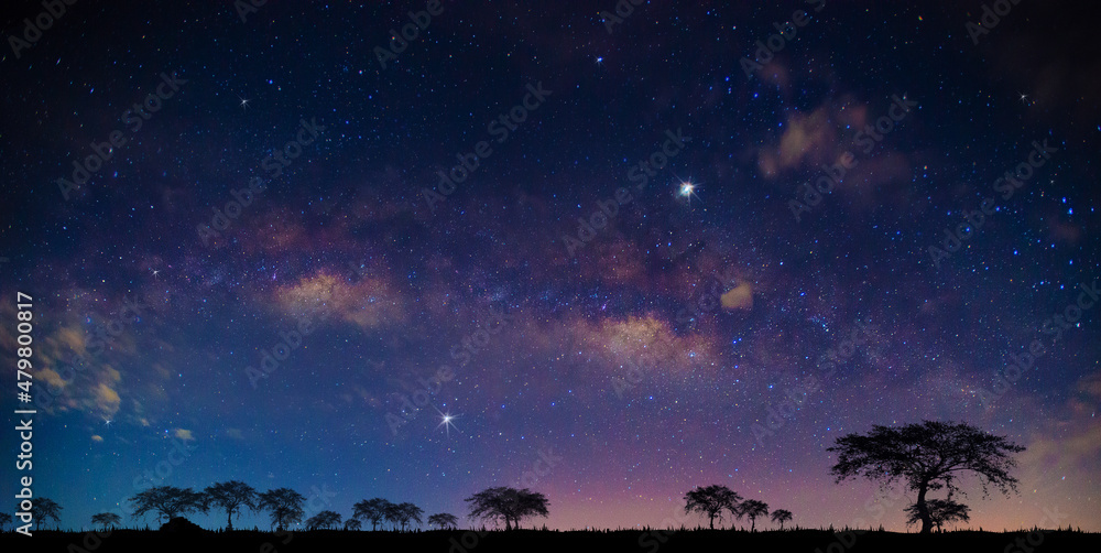 全景蓝色夜空，乳白色，背景为深色恒星。太棒了。