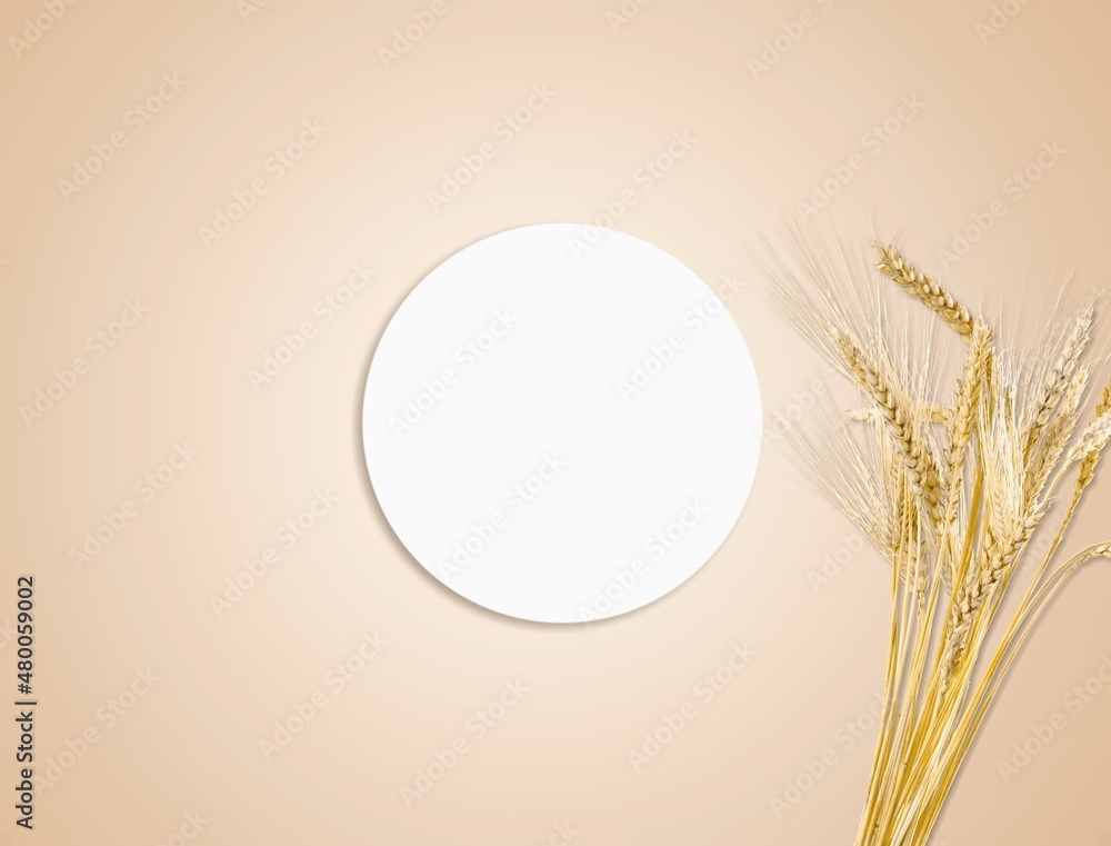 Empty round podium and bouquet of dry oats on the desk