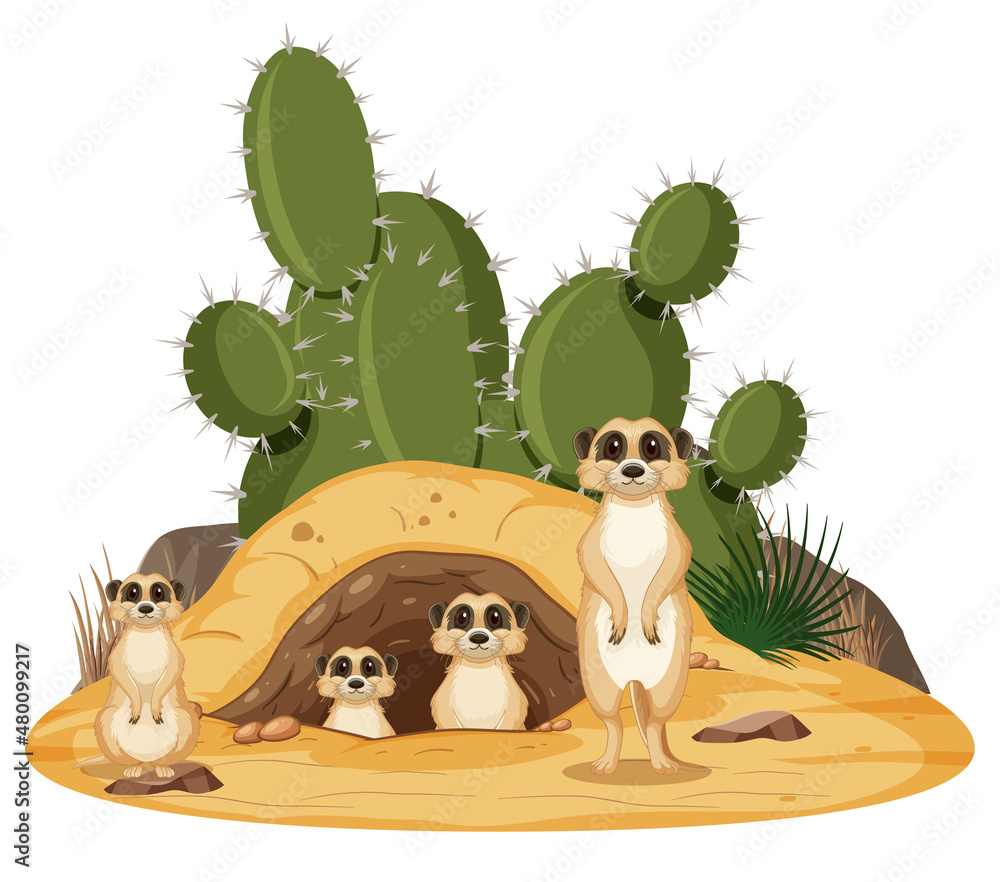 Isolated nature scene with meerkat family