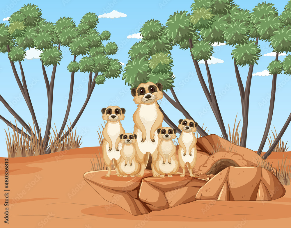 Meerkat family lives in the desert forest