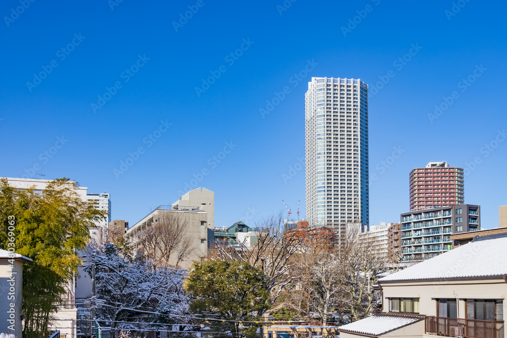 東京の街に降り積もった雪と綺麗な青空