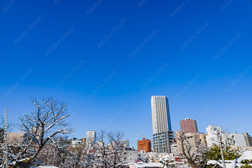 東京の街に降り積もった雪と綺麗な青空