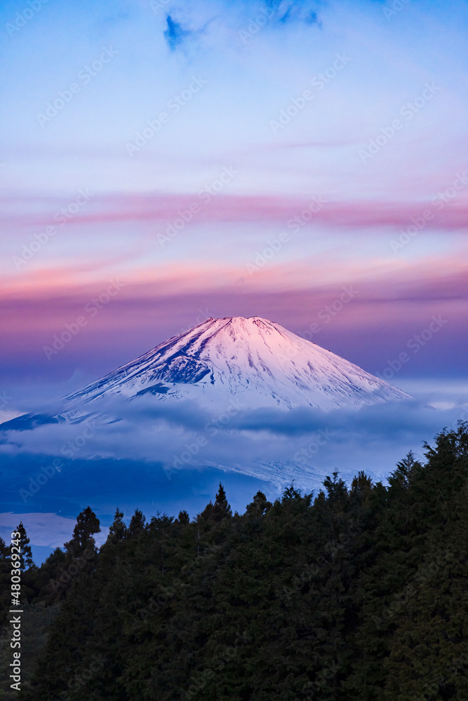 雪が積もった朝焼けの富士山