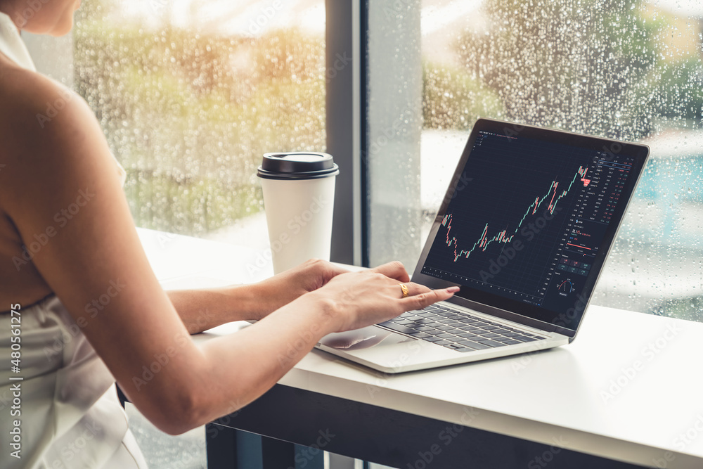 Stock market data chart analysis by ingenious computer software . Investment application display sto