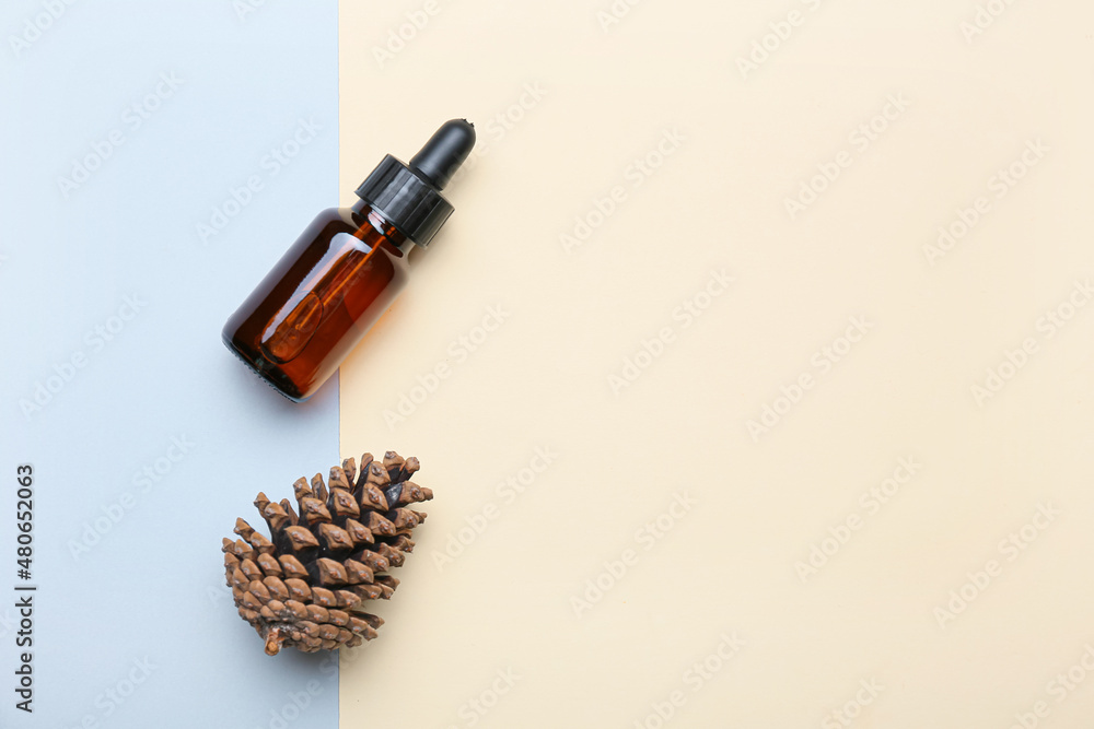 Bottle of essential oil and pine cone on color background