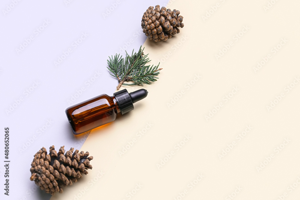 Bottle of essential oil, fir branch and pine cones on color background