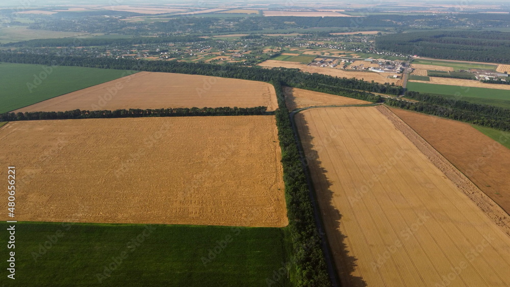 Aerial drone view flight over different yellow green agricultural fields