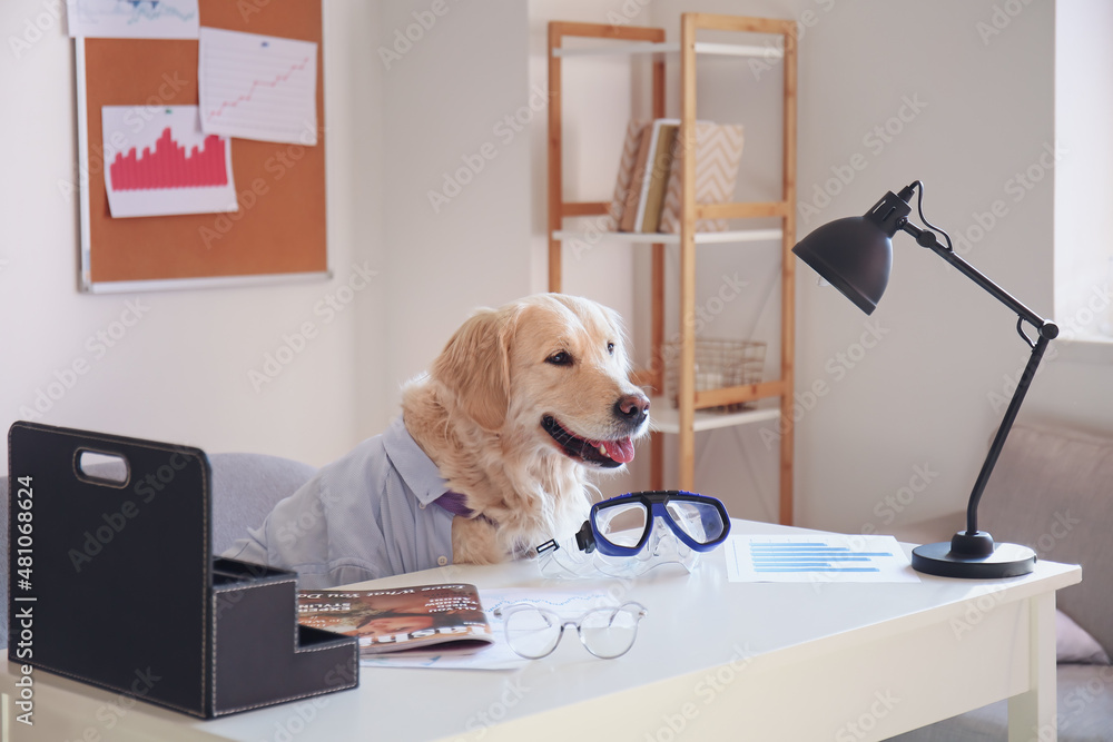 Cute business dog with snorkeling mask at workplace in office