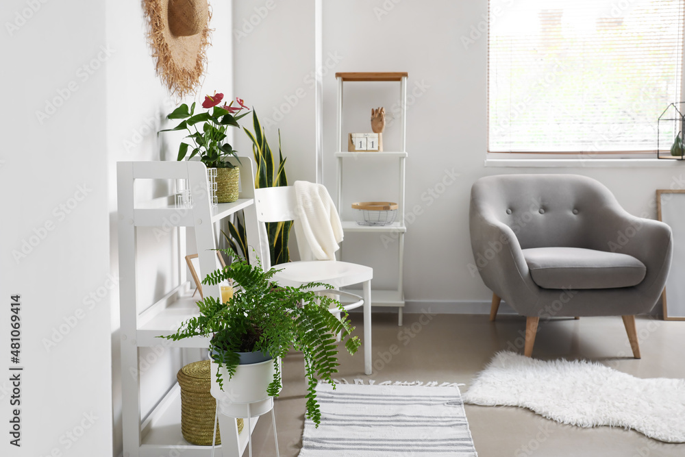 Interior of modern room with Anthurium flower on shelf unit