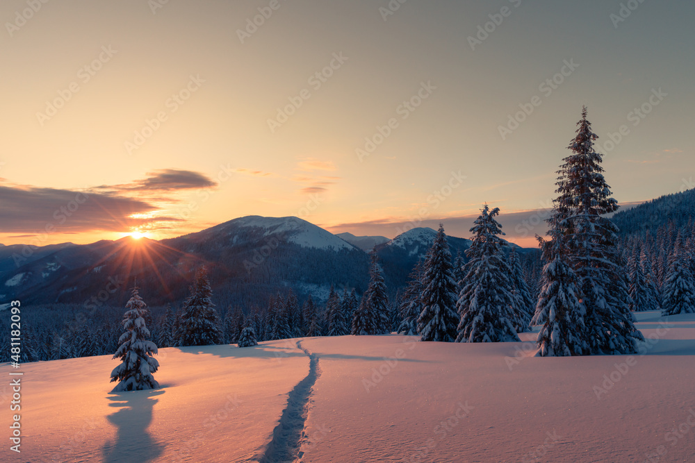 Fantastic winter landscape in snowy mountains glowing by morning sunlight. Dramatic wintry scene wit