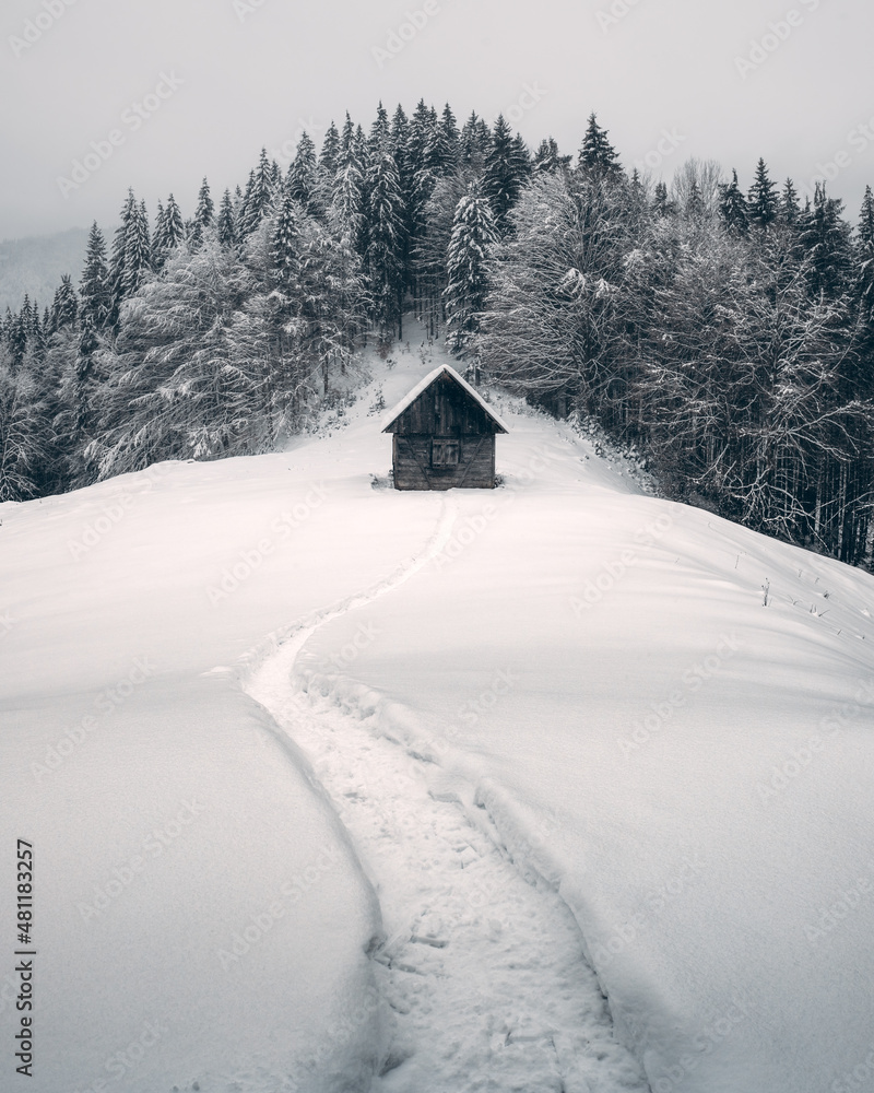 Fantastic winter landscape with wooden house in snowy mountains. Christmas holiday concept. Carpathi