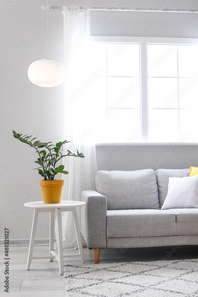 Stylish interior of living room with sofa, table with houseplant and pendant lamp