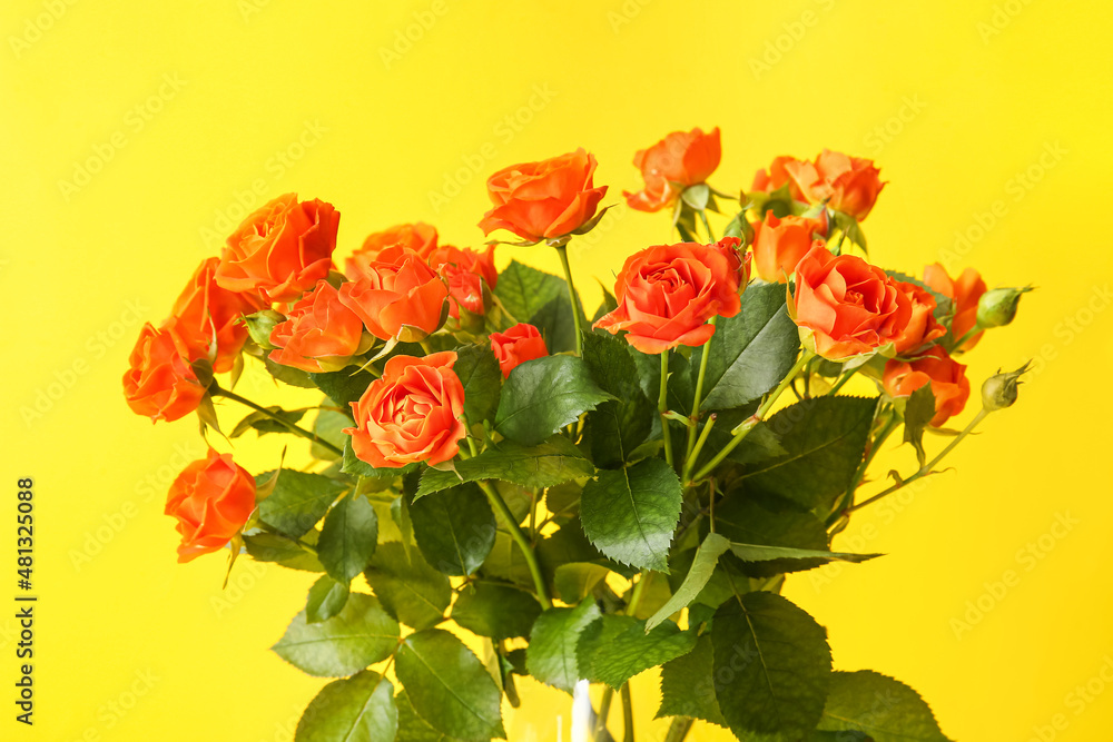 Bouquet of beautiful orange roses on yellow background