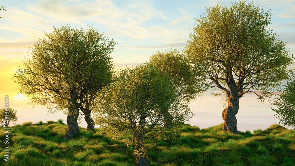 Photorealistic background: untouched mediterranean nature landscape with green olive trees, green gr