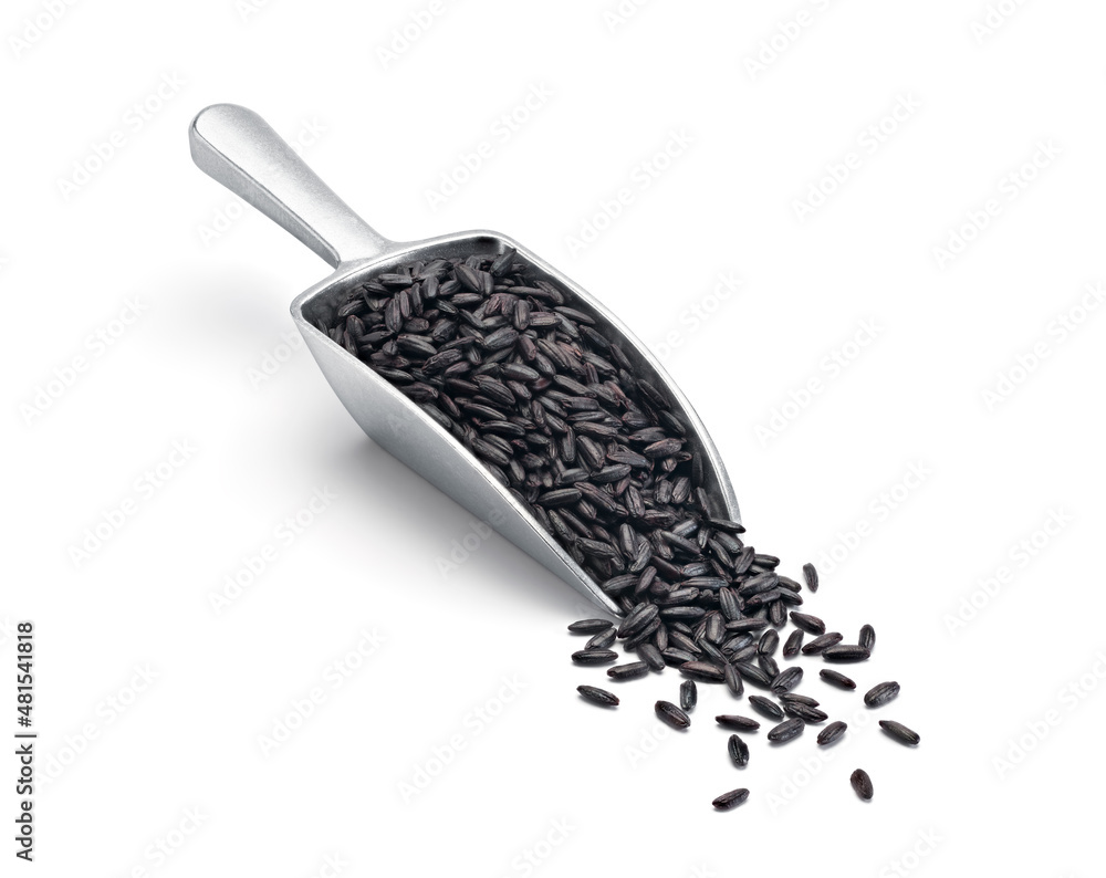 Natural black wild rice on metal scoop isolated on white background