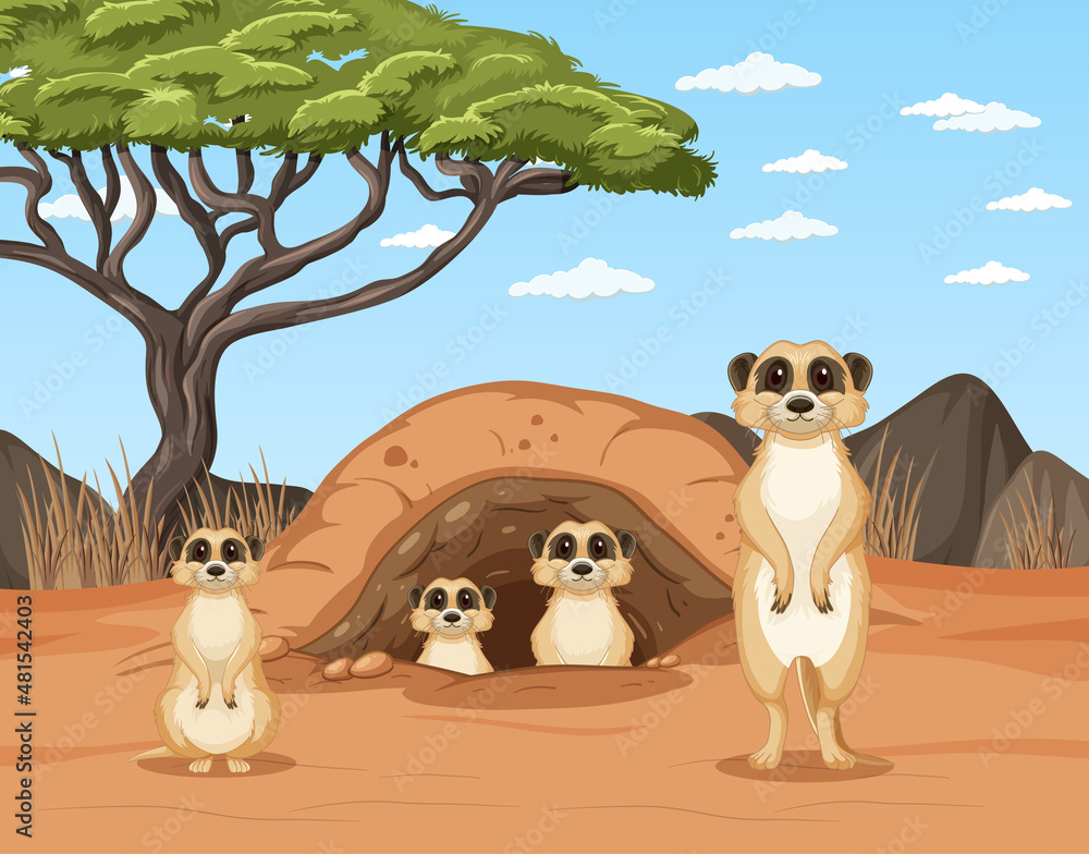 Desert scene with meerket group