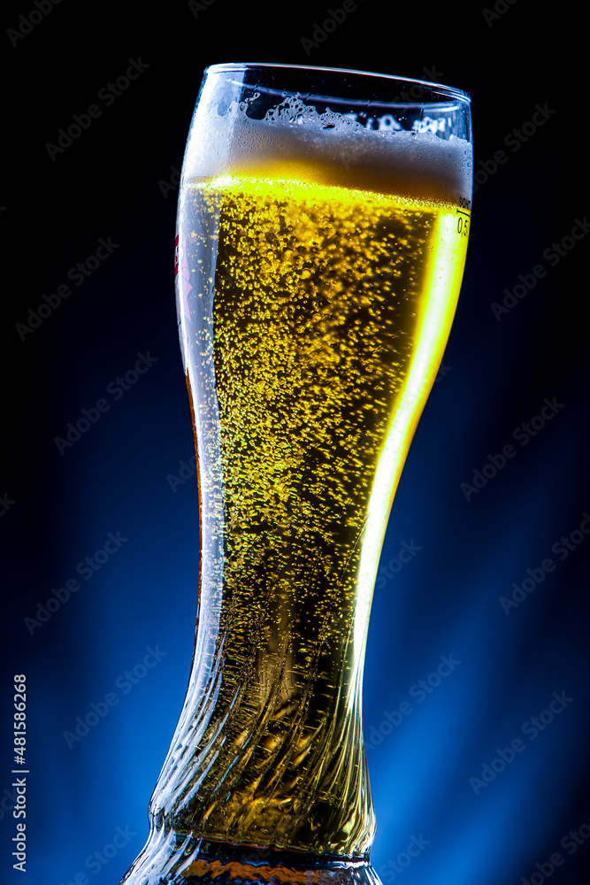 Tall glass of beer on a dark blue background