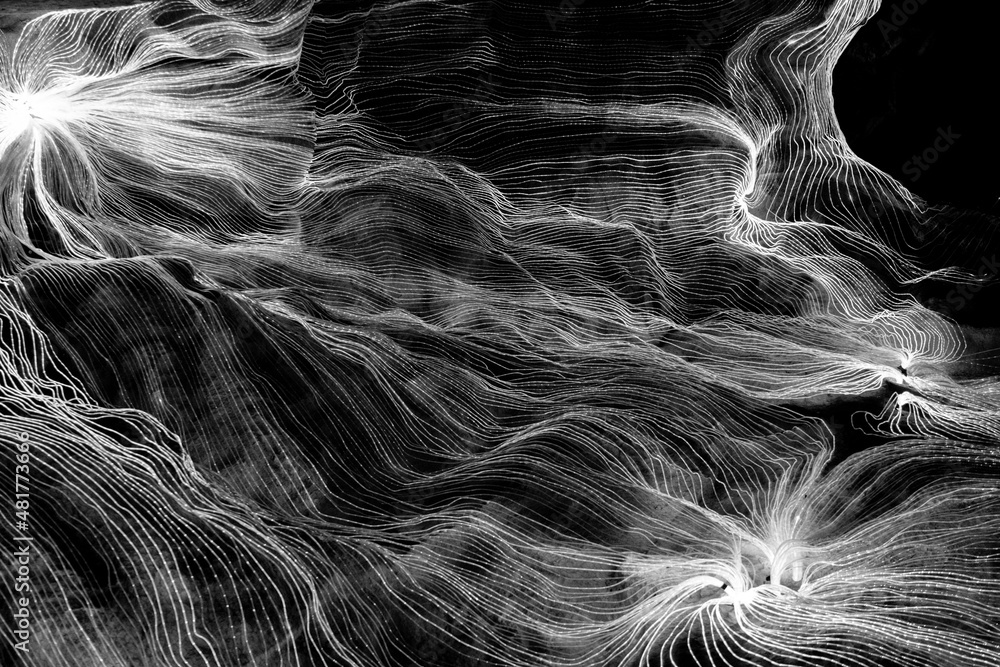 Abstract wave of digital weave lines connecting network dots and dark background . Modern 3D mesh pa