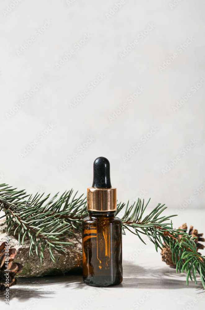 Bottle of essential oil and fir branch on light background, closeup