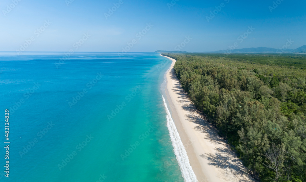 Aerial view Drone camera of Tropical sea with Row of pine trees near the beach in Thailand Beautiful