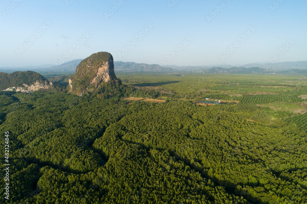 Aerial view drone shot of beautiful sunrise sky in the morning Drone flying over sea and mangrove fo