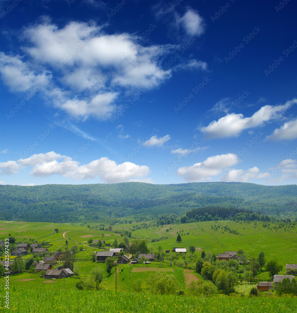 山地景观之夏