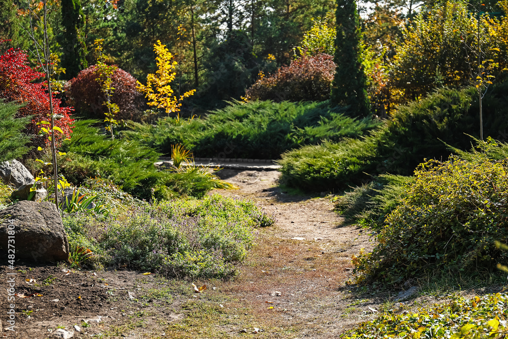 Panorama of beautiful autumn park