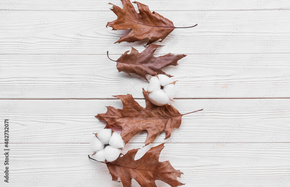 Cotton flowers and autumn leaves on white wooden background